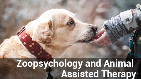 Zoopsychology and Animal Assisted Therapy